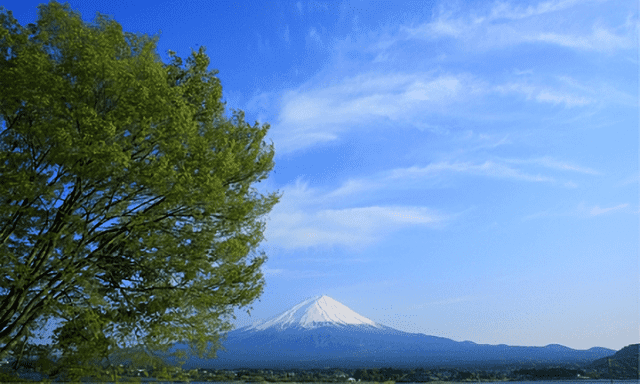 健康サポートうらら　デイサービス